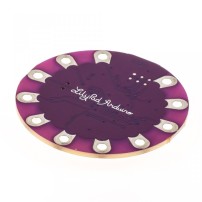 Arduino LilyPad USB Atmega32u4 Incluye 10 LEDs 5mm y 10 Resistencias